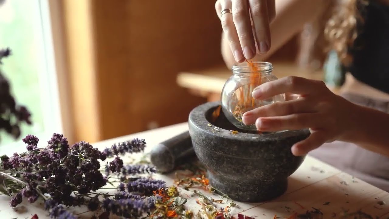 Come avviare una coltivazione di lavanda - Kit CreaImpresa