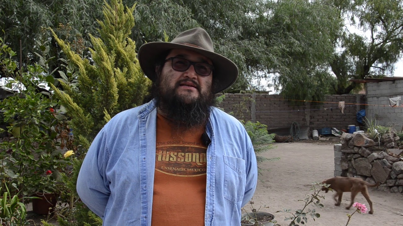Sobre el chichimeco jonaz (cápsula)