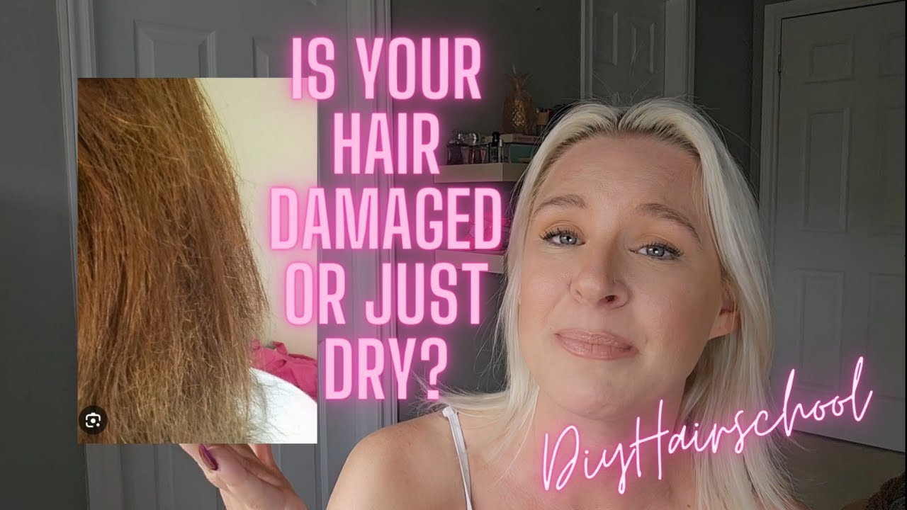 Dry vs. Damaged Hair: How to Identify and Treat Your Hair's Needs