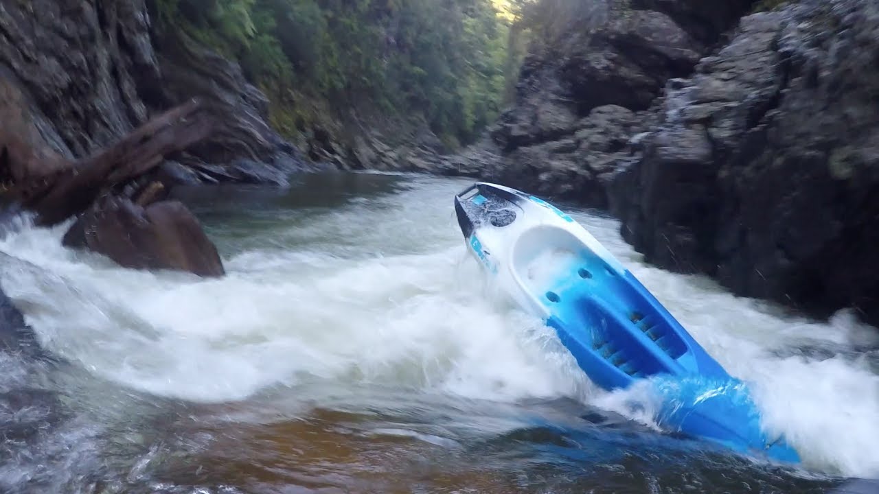 Kayaking the Hutt Gorge on a sit-on-top