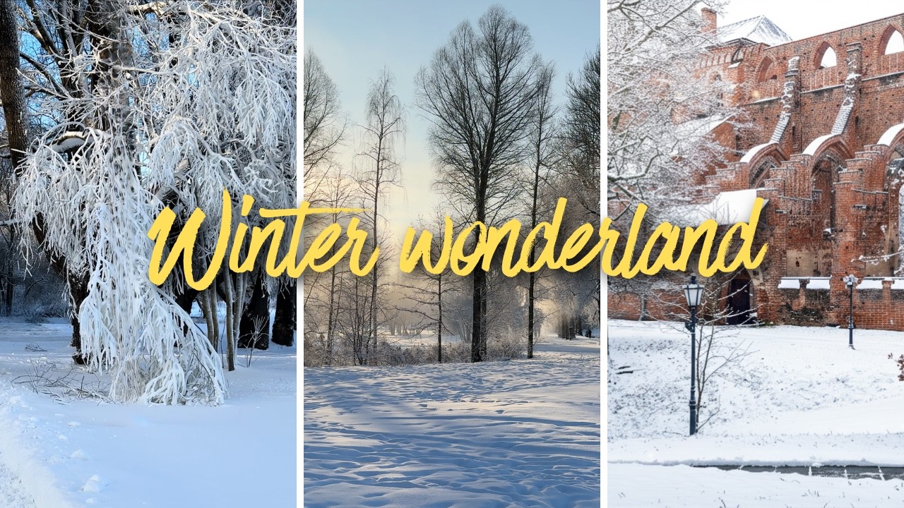 What WINTER in Estonia actually looks like