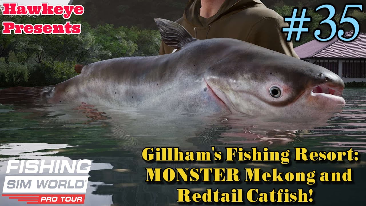 Fishing Sim World - #35: Gillham's Fishing Resort: MONSTER Mekong and Redtail Catfish!