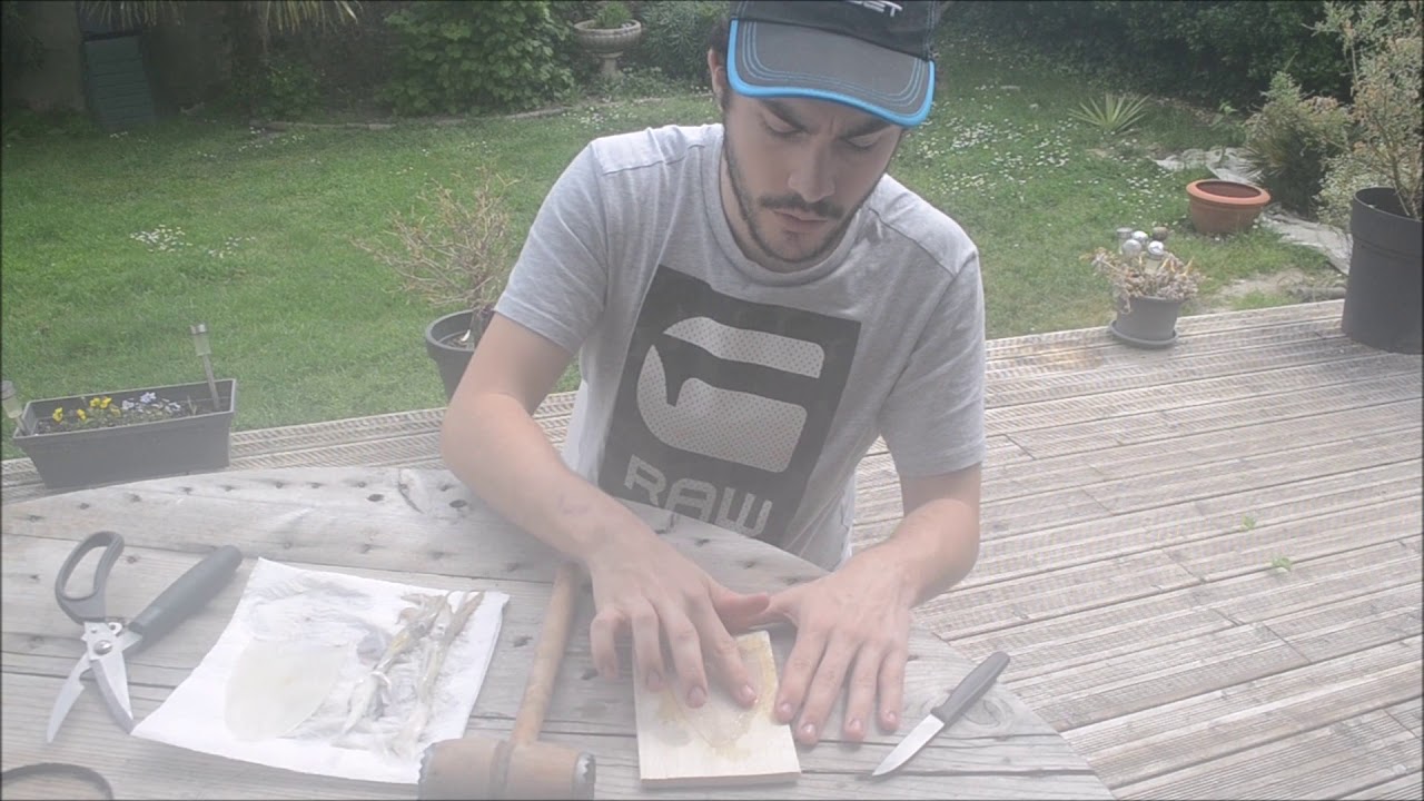Tuto SUNSET - Comment préparer les encornets pour la pêche aux appâts