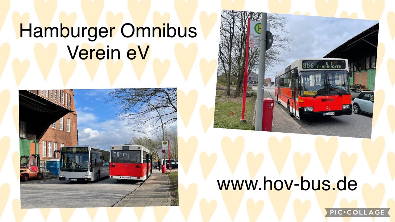 Hamburger Hochbahn/HOV Wagen 2575 MB O405 Baujahr 1985 Mitfahrt HVV Museumslinie 856