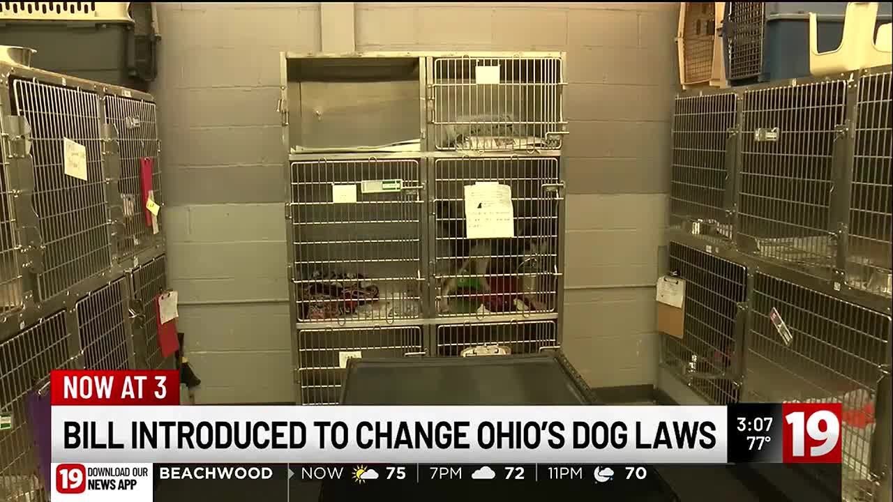 Ohio lawmakers introduce bill that would tighten dog attacks laws