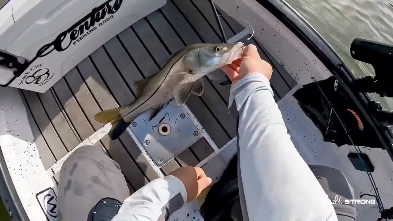 Mastering The Art Of Free-lining Finger Mullet
