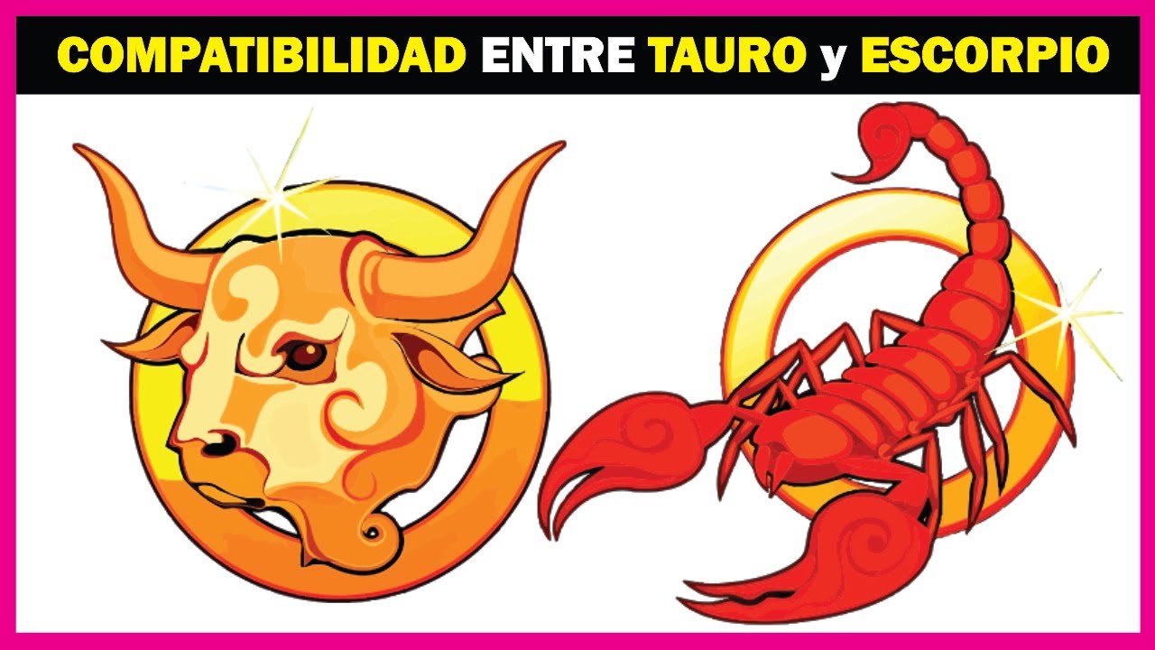 TAURO y ESCORPIO ♉♏ [Una Compatibilidad de Pasión Lealtad y Fuerza]