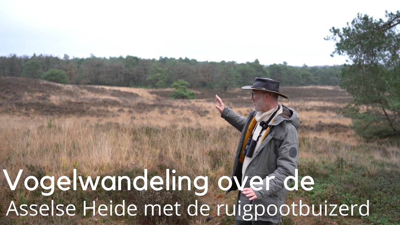 Vogelwandeling over de Asselse Heide #1697