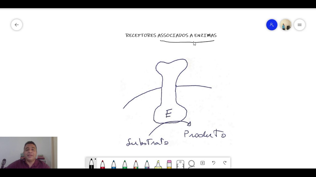 Tipos de receptores