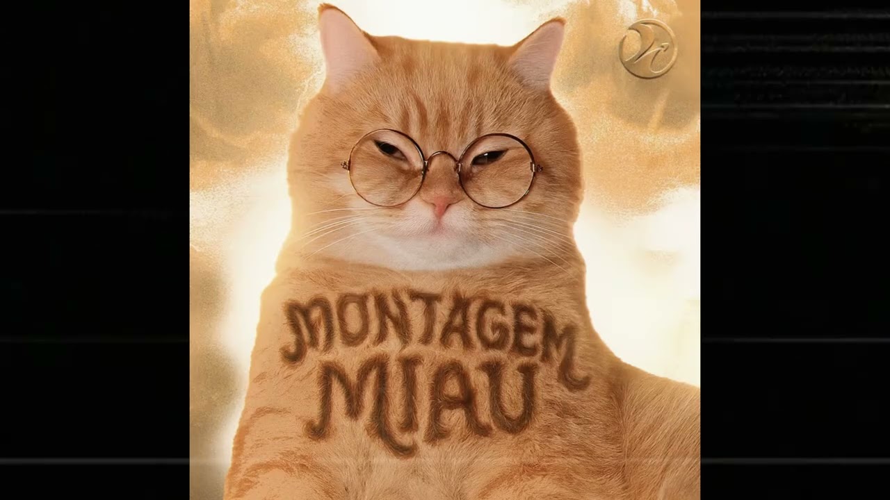 Montagem Miau