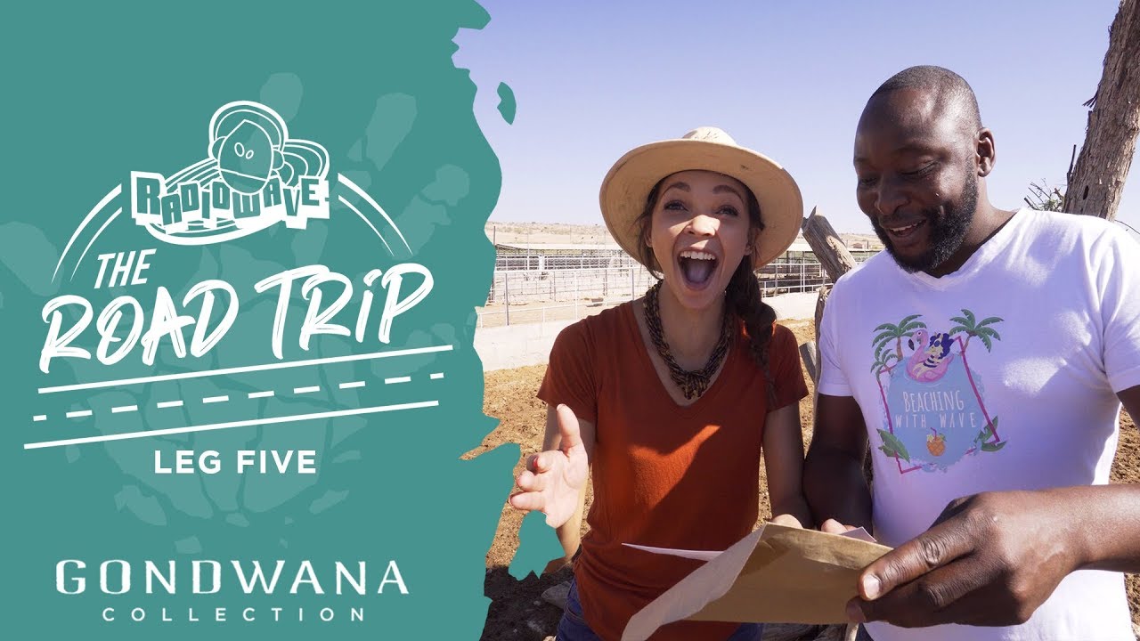 The Road Trip - Leg Five