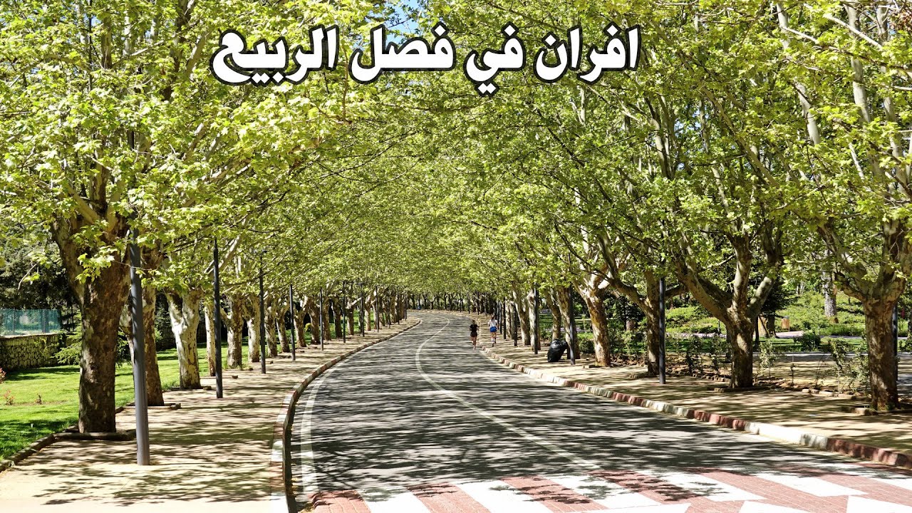 افران في فصل الربيع سويسرا افريقيا Ifrane Morocco