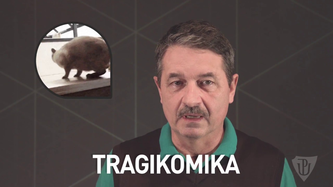 A15: Živel v ruské literatuře - Zdeněk Pechal
