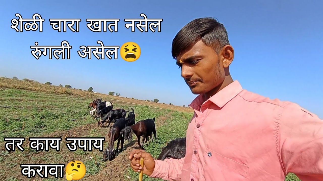 शेळी चारा खात नसेल तर काय उपाय करावा🤔 शेळी रुंगली असेल तर काय करावे 😃 पहा संपूर्ण माहिती😀