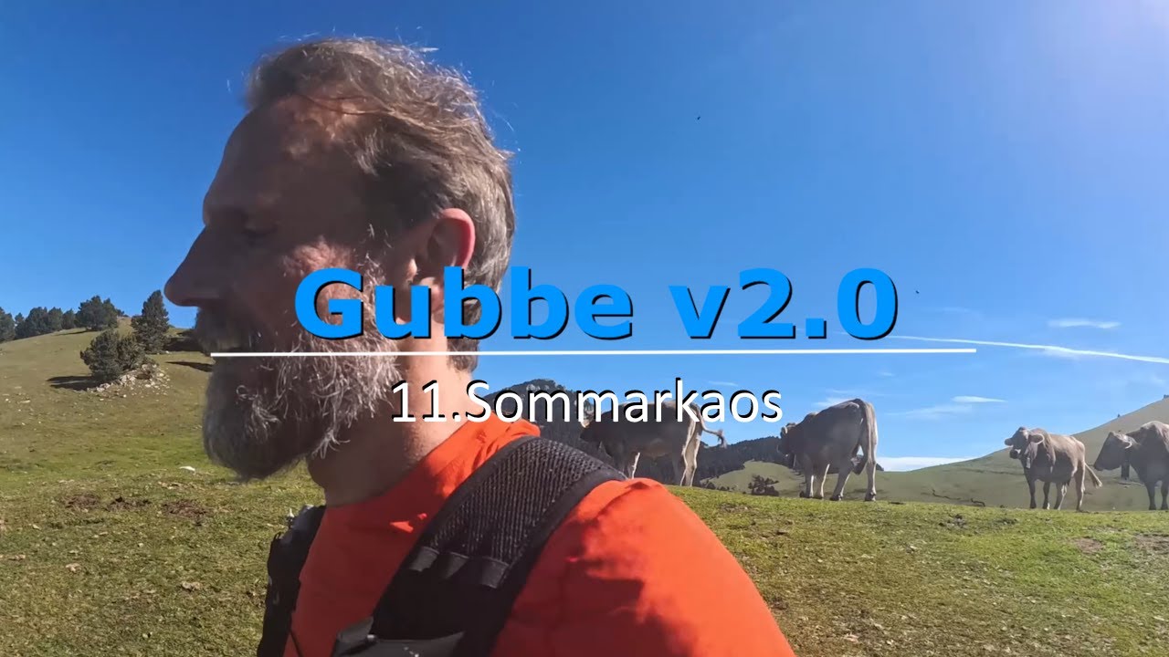 Gubbe v2.0 - Sommarkaos