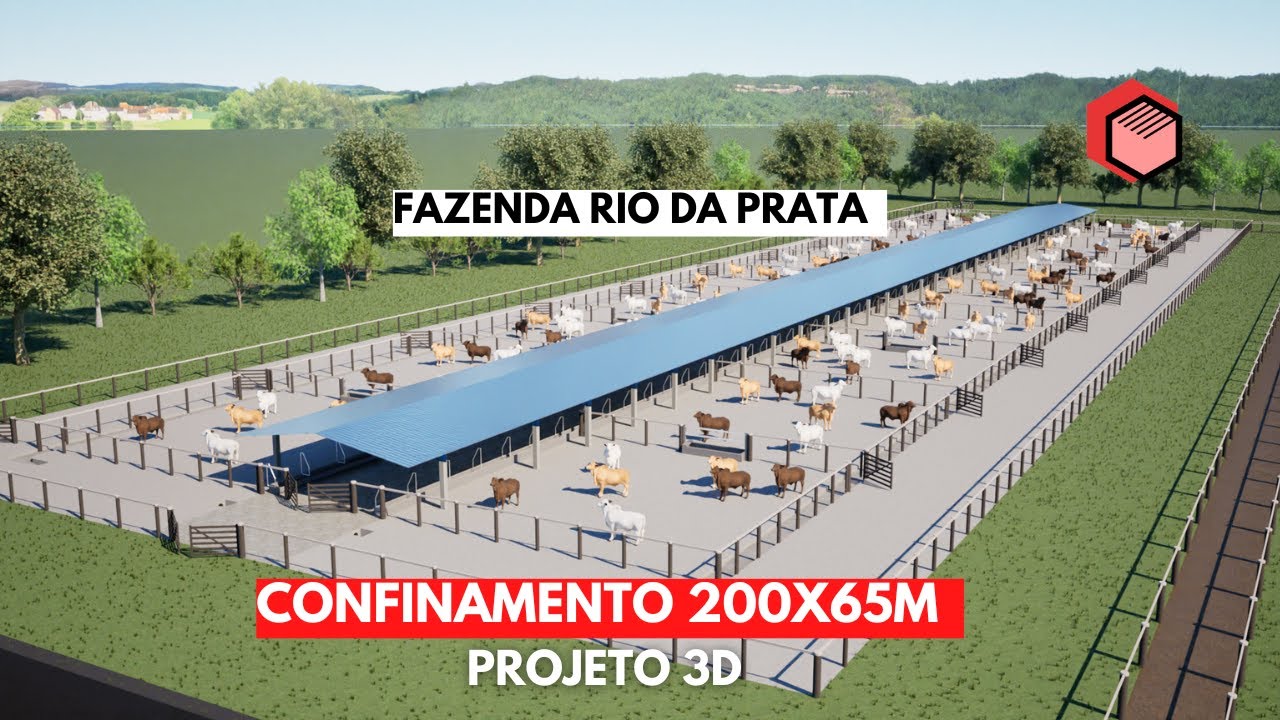CONFINAMENTO 200X65 - FAZENDA RIO DA PRATA - PA