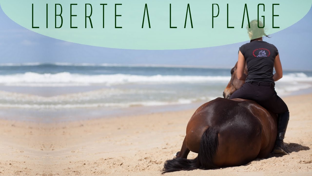 Liberté à la plage