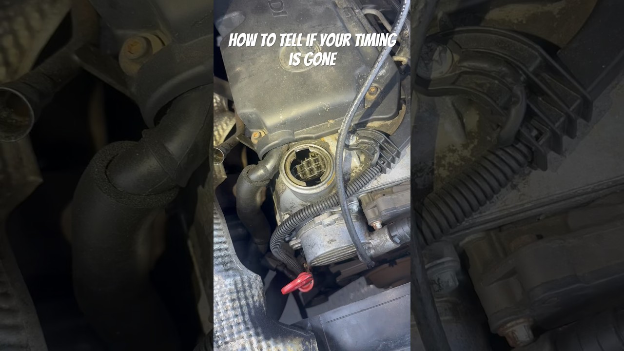 Cranking but not running? This is how to tell if your timing is gone 😅 #timingchain #automobile