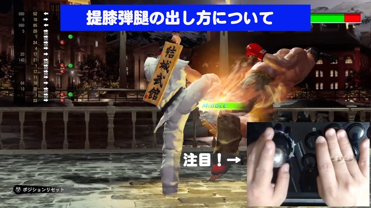 提膝弾腿（旧：独歩頂膝）の出し方について【VFes/VF5US】