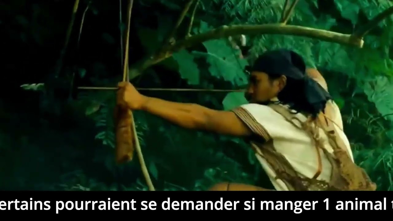 La V&eacute;rit&eacute; CHOQUANTE sur l'arbre &agrave; fl&egrave;ches empoisonn&eacute;es!
