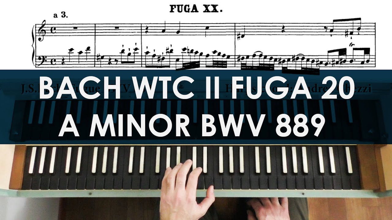 Bach Fugue No. 20 in a minor from Well-Tempered Clavier II, BWV 889 harpsichord Andrea Chezzi