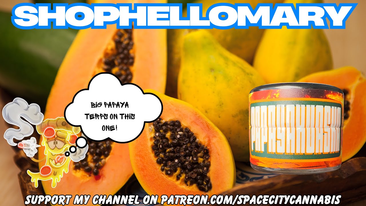 SHOPHELLOMARY ROSIN REVIEW: Papayahuaska(🔥🔥🔥) This Is Some Fire!