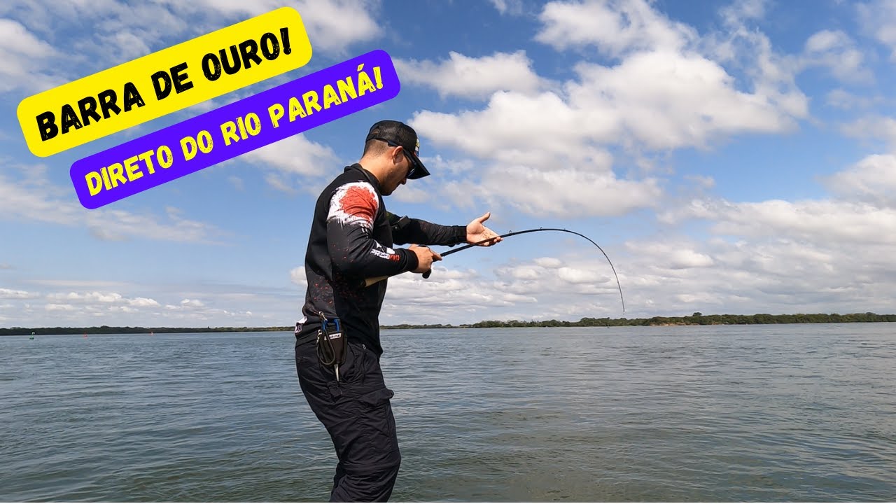 Dourado e Piracanjuba na Mesma Pescaria.  ! Esse é o Rio Paraná!