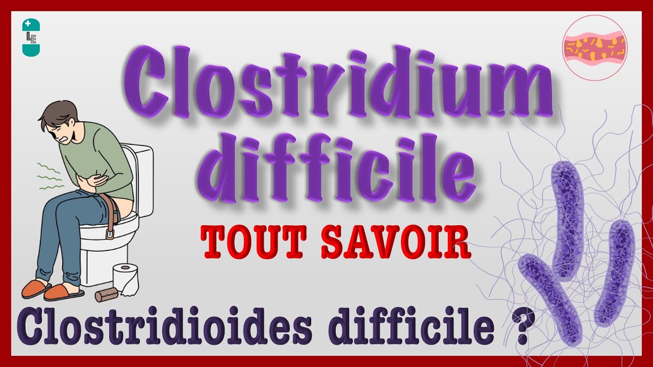 TOUT savoir sur Clostridioides difficile : DIARRHEE, Bactérie, COLITE