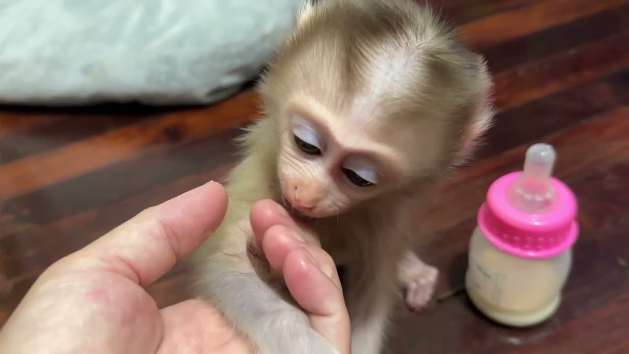 He plays with his mum 