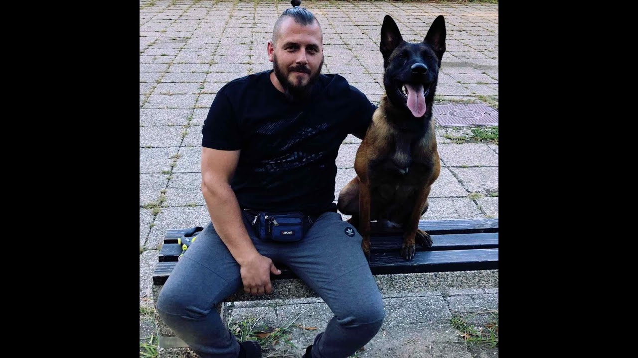 KAKO NAUČITI PSA NA ŽIVOT U BOKSU