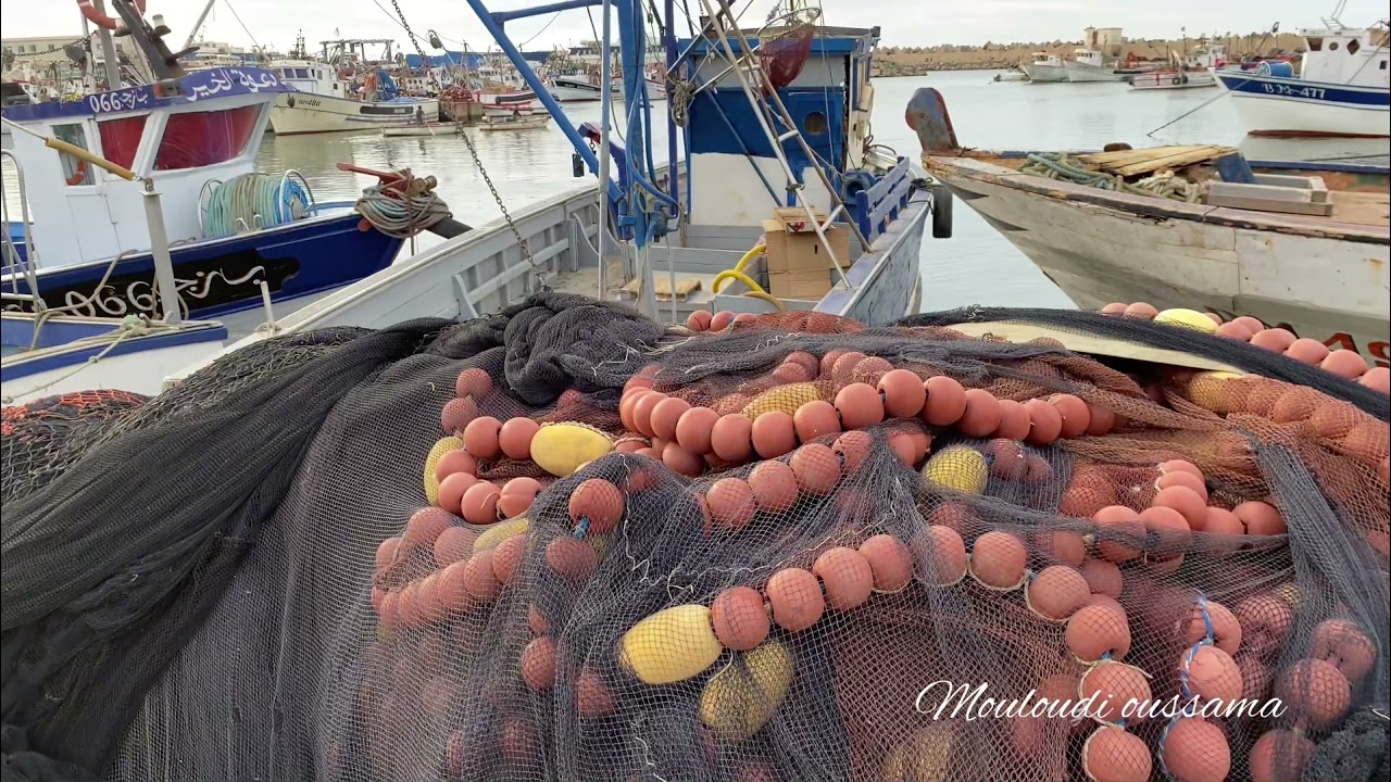 Port de zemouri el bahri