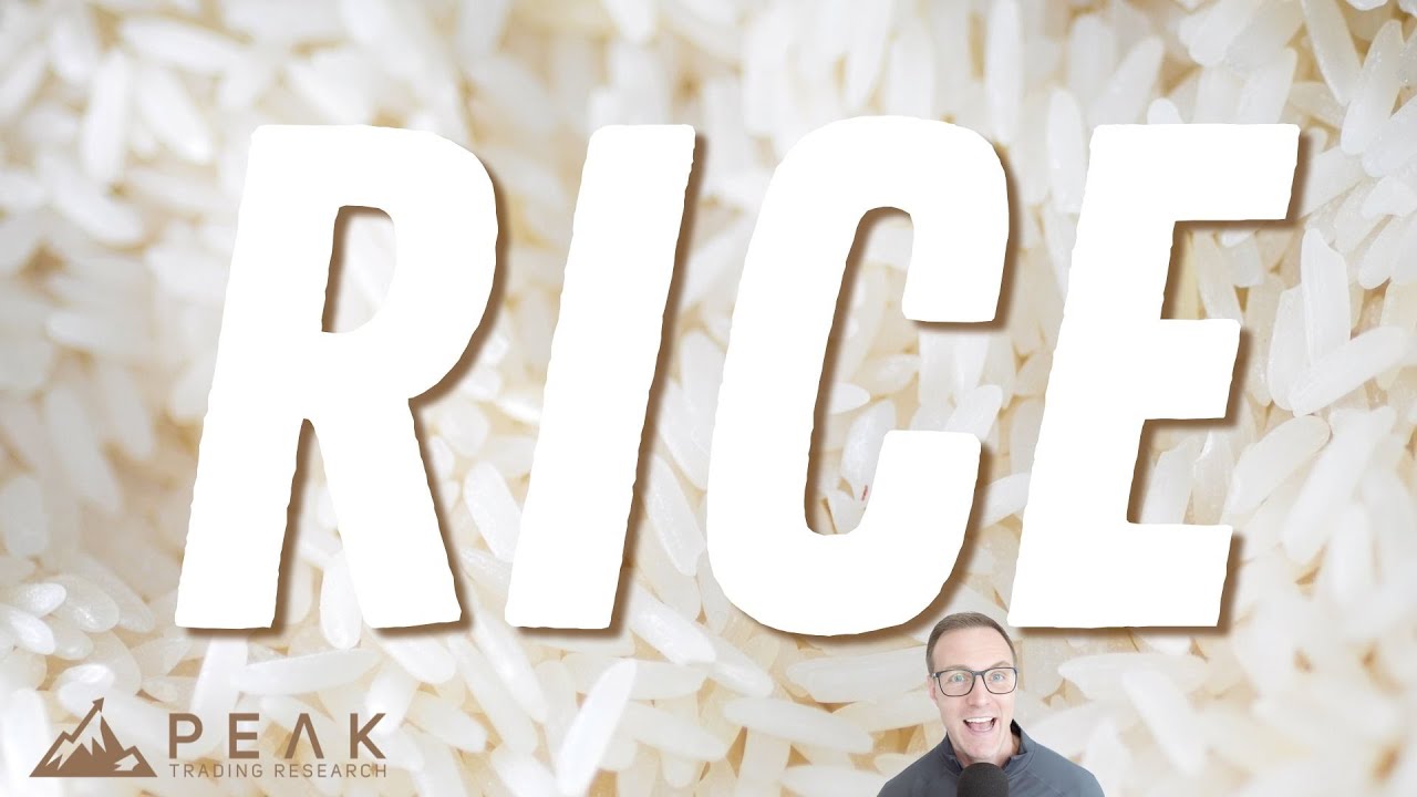 Rough Rice Range Reverter 🌾 | Strategy of the Month December 2024 🚀