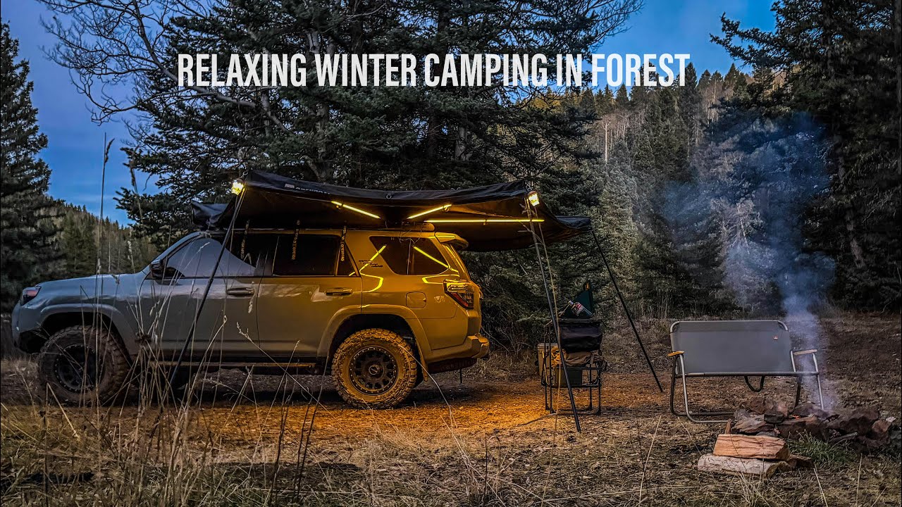 19°F Winter Camping in our 4Runner ASMR | Crackling Fire, Campfire Pizza & Unexpected Visitors