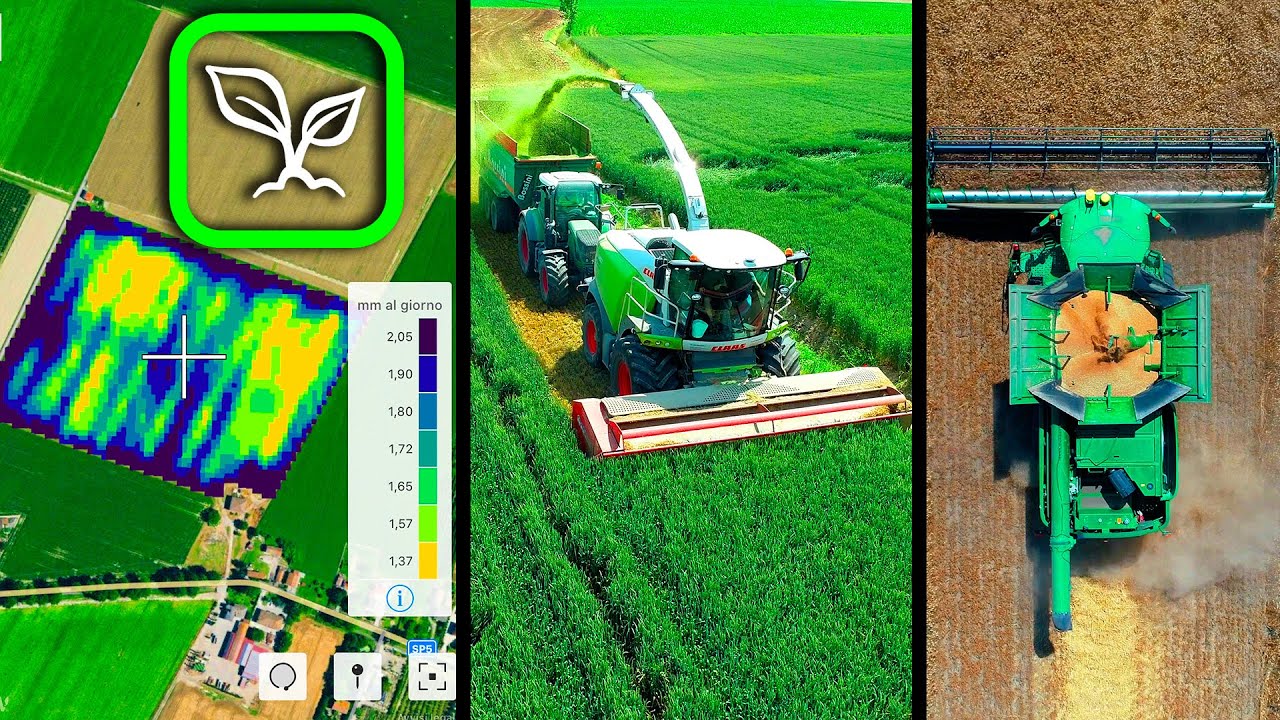 AgriAGGIORNA 26: BAYER & FIELDVIEW presso la SOCIETÀ AGRICOLA CAZZOLA | FILIERA FRUMENTO di QUALITÀ
