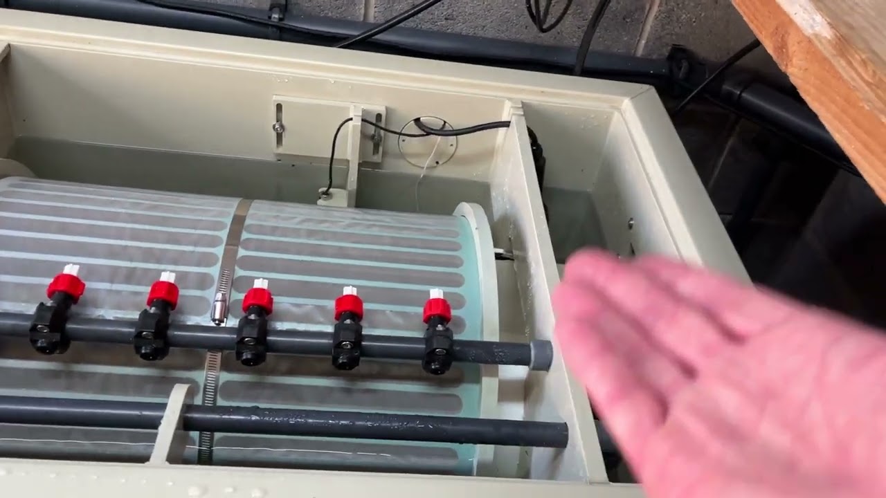 The Definitive DVS/Queni-Koi Drum Filter Seal Change Video