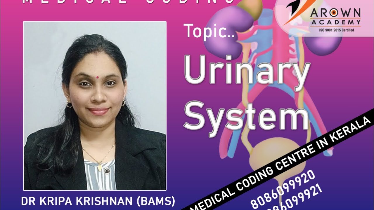 Urinary System by Dr.Kripa Krishnan(BAMS)
