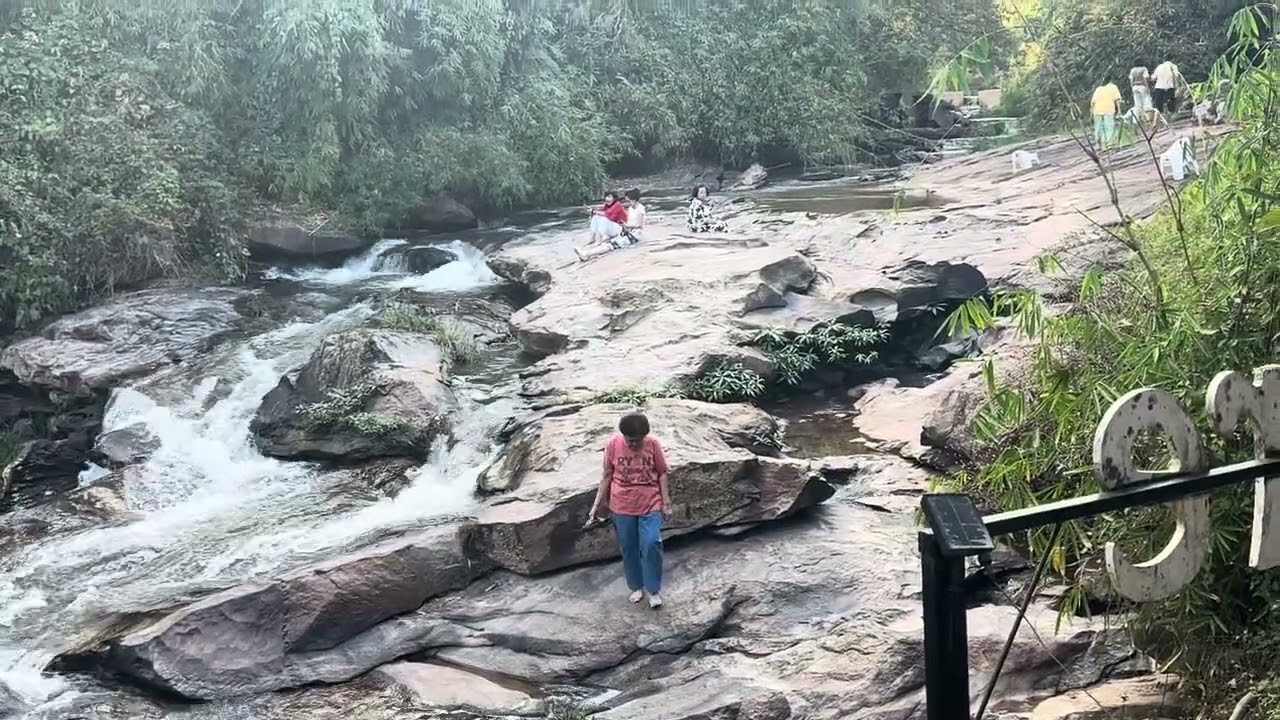 19 มีนาคม 2569