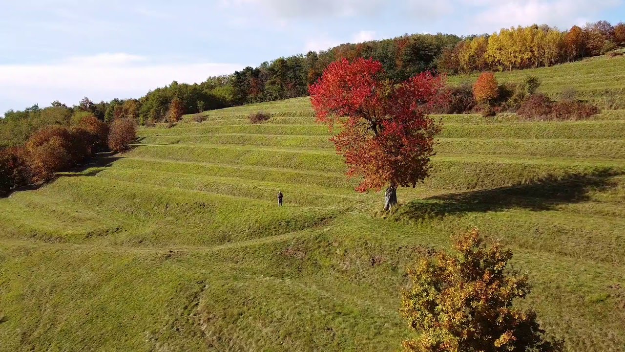 Colori d'Autunno