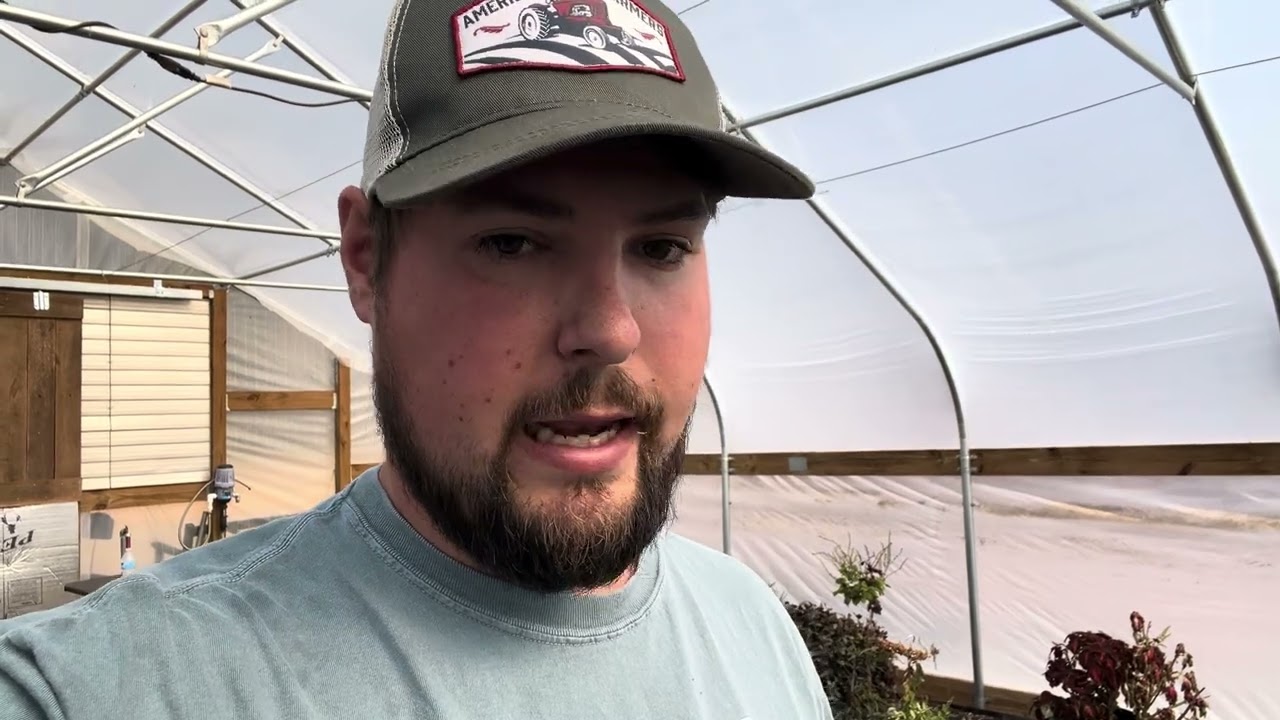 Our first plugs arrived! Greenhouse season starts now! 
