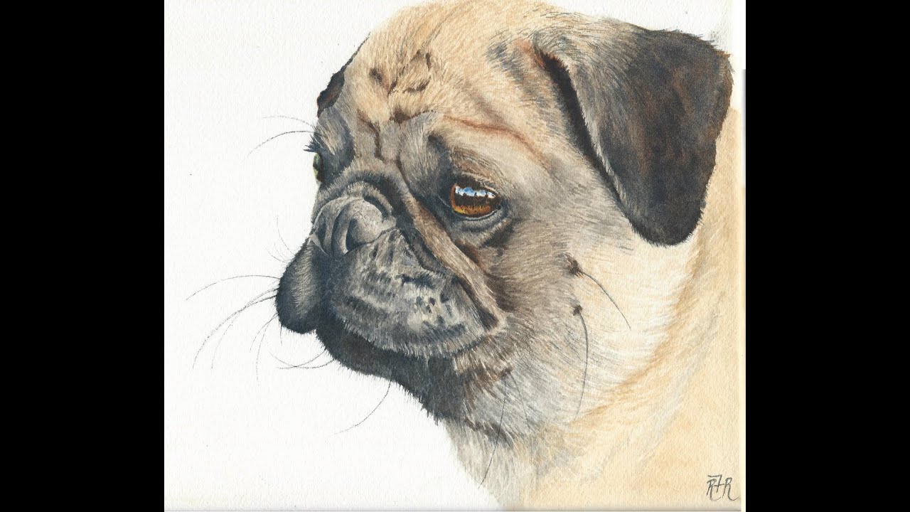 Watercolor Painting Tutorial - Pug Dog