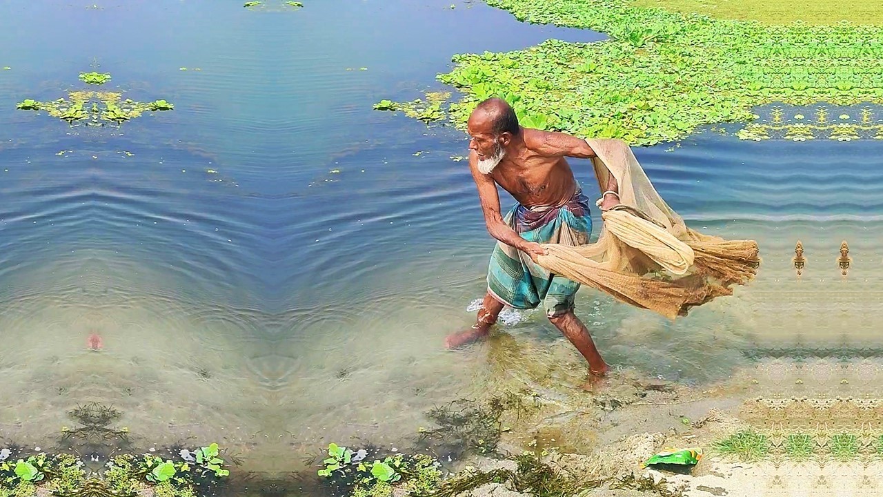 Village Cast Traditional Net Fishing Video - Hunter Man Catching Big Fish by Net - Net Fishing Video