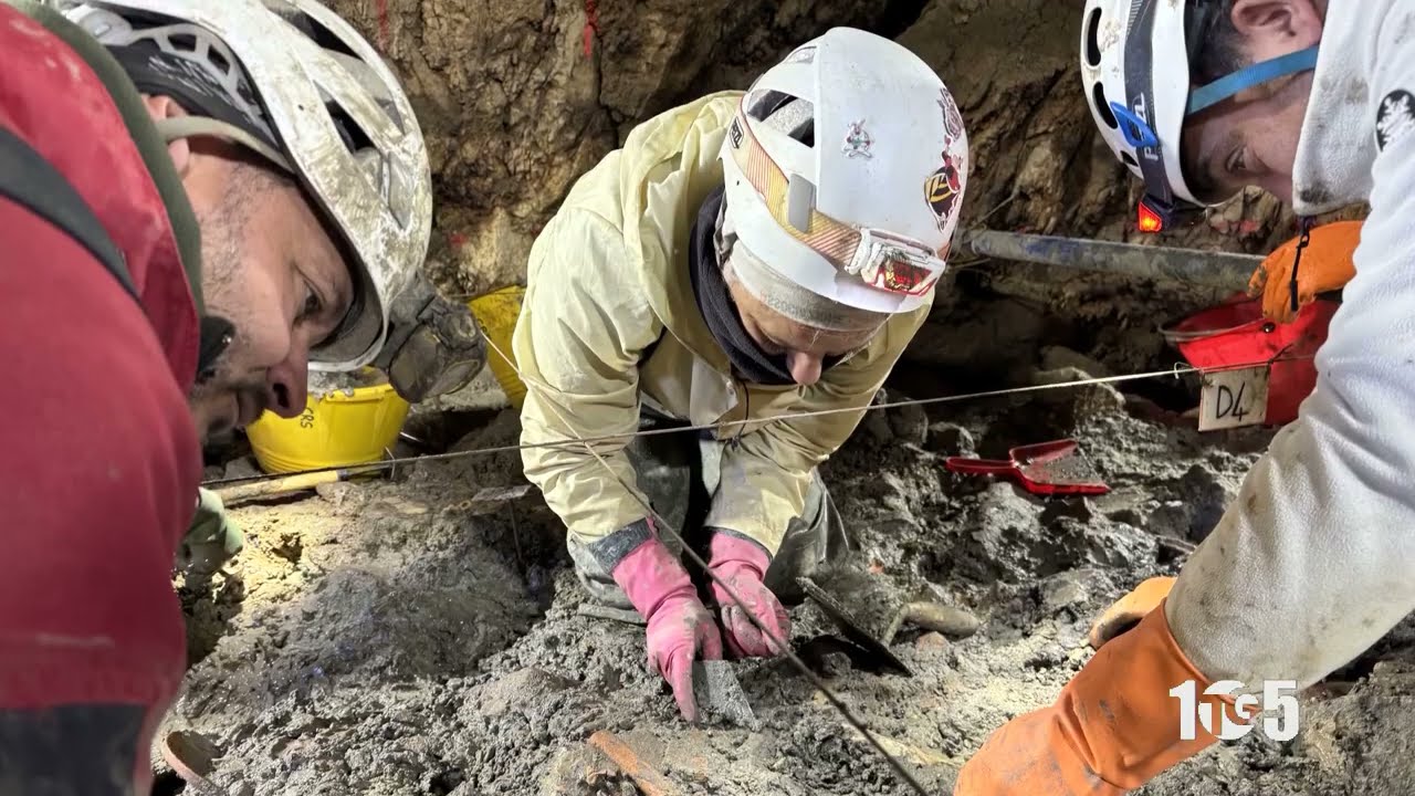 Grotte Pertosa Auletta Fermo Biologico 8gen