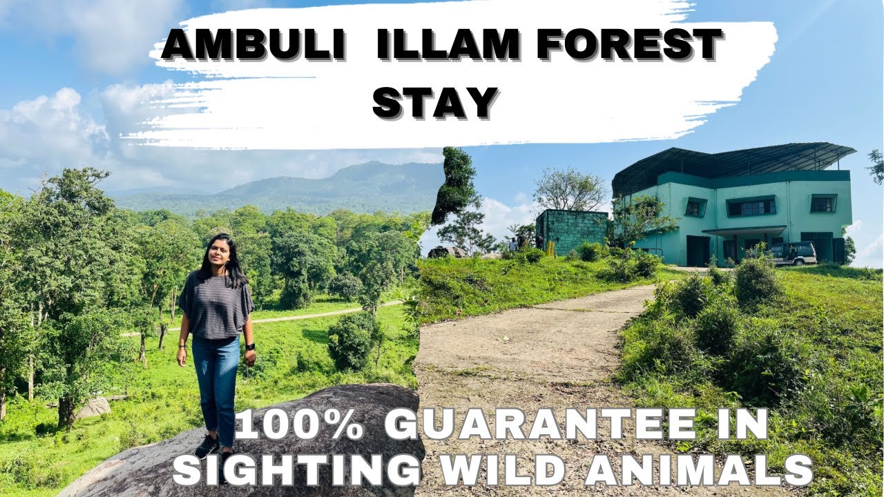 Ambuli Illam Forest Bungalow | Topslip | Anamalai Tiger Reserve | Jungle Safari | Tamilnadu Pollachi