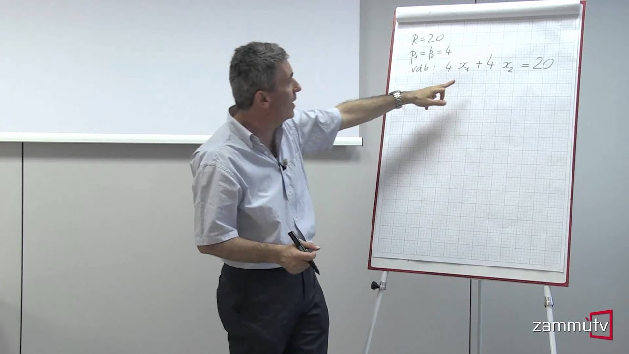 Microeconomia - Esercizi tipo: 4. Scelte di consumo con preferenze lineari