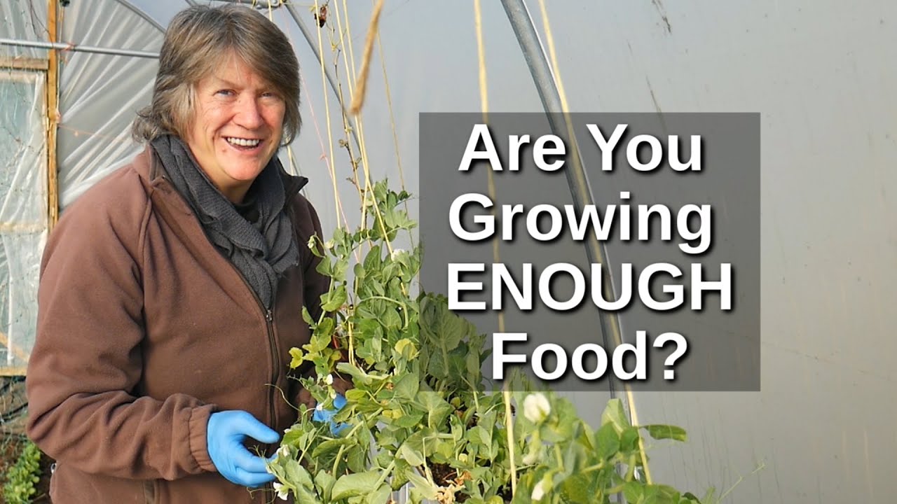 How Much to Grow for Self Sufficiency | Food Security and Resilience