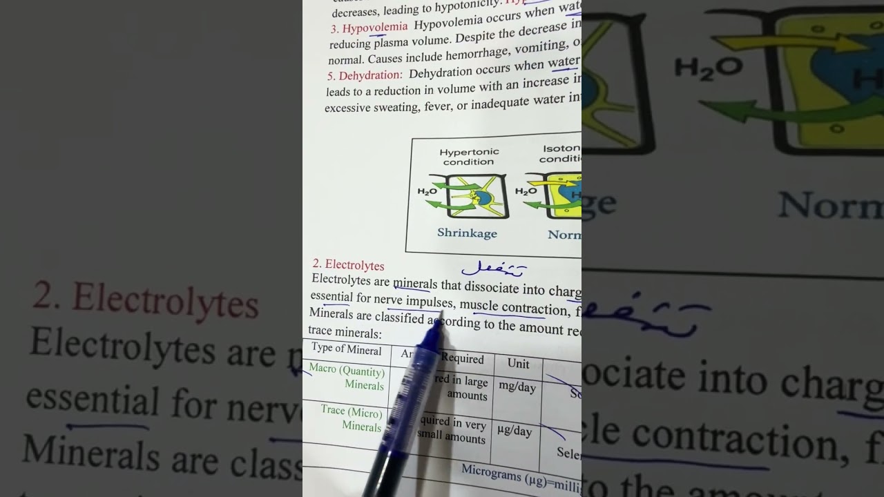 شرح محاضرة الكيمياء النظري الاولى مرحلة رابعة وزاري مختبرات طبية ٢٠٢٦ /الاستاذ مسلم عقيل 