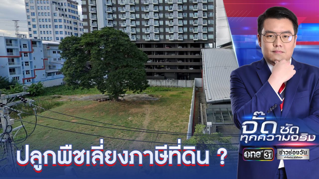 ปลูกพืชเลี่ยงภาษีที่ดิน ได้จริงหรือไม่ ? | จั๊ดซัดทุกความจริง | ข่าวช่องวัน