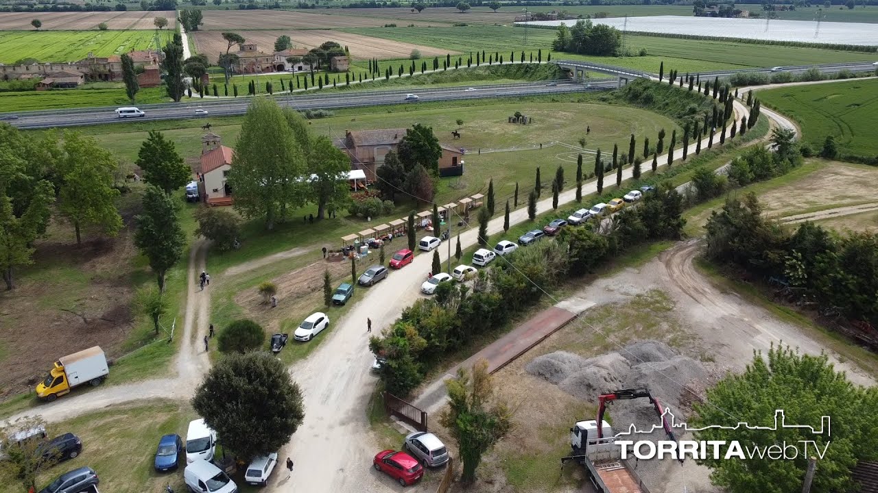 Festa al Capannone 2024