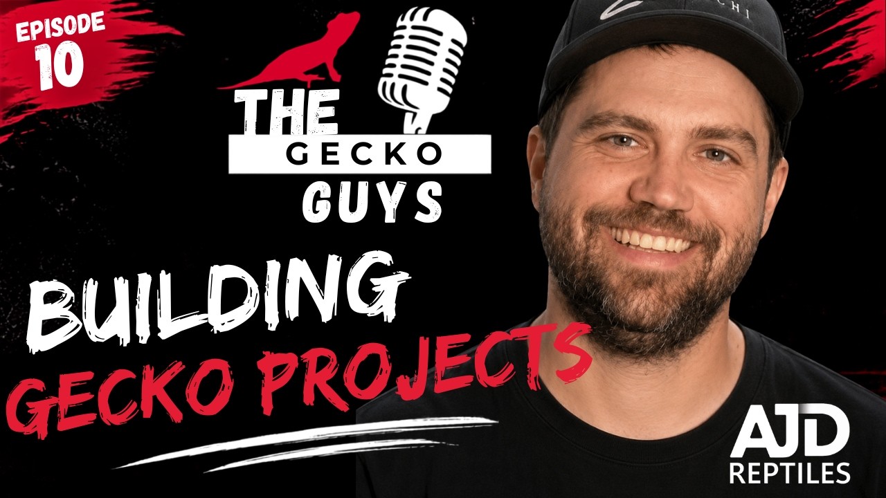 Gecko Project Building - The Gecko Guys - GeckoGuys 10