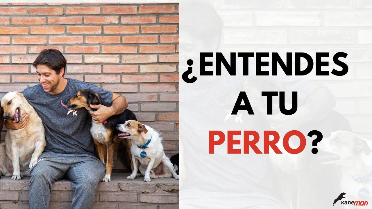 Clase abierta de Lenguaje Canino | Aprende a leer lo que tu perro comunica